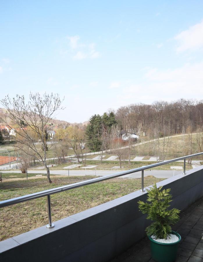 Apartment Sandra Toplice Sveti Martin Sveti Martin Na Muri Εξωτερικό φωτογραφία