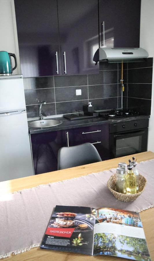 Apartment Sandra Toplice Sveti Martin Sveti Martin Na Muri Εξωτερικό φωτογραφία