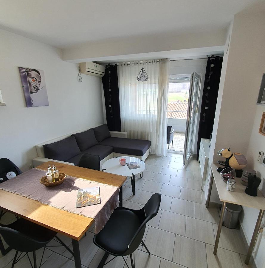 Apartment Sandra Toplice Sveti Martin Sveti Martin Na Muri Εξωτερικό φωτογραφία