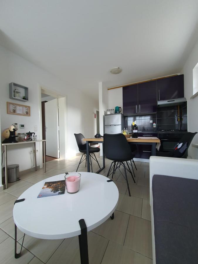 Apartment Sandra Toplice Sveti Martin Sveti Martin Na Muri Εξωτερικό φωτογραφία